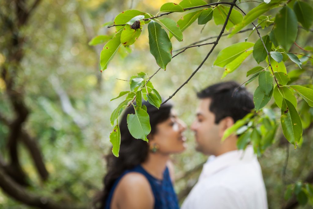 Leaves in foreground and couple out of focus in background