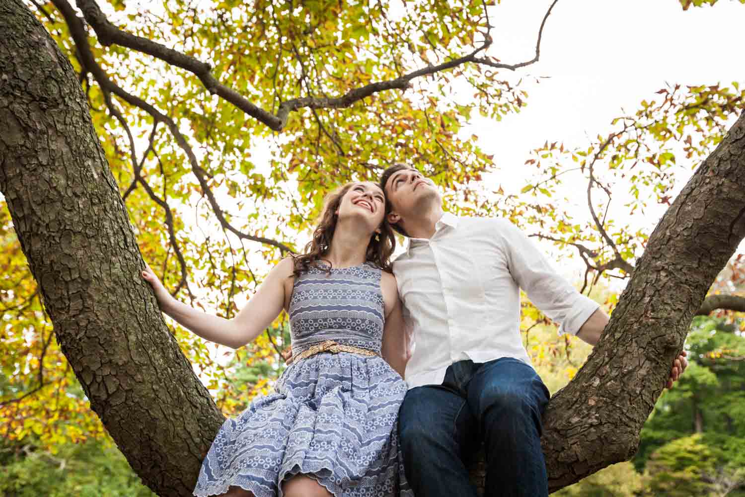 Couple sitting on tree branch looking up at a Lyndhurst Mansion engagement photoshoot