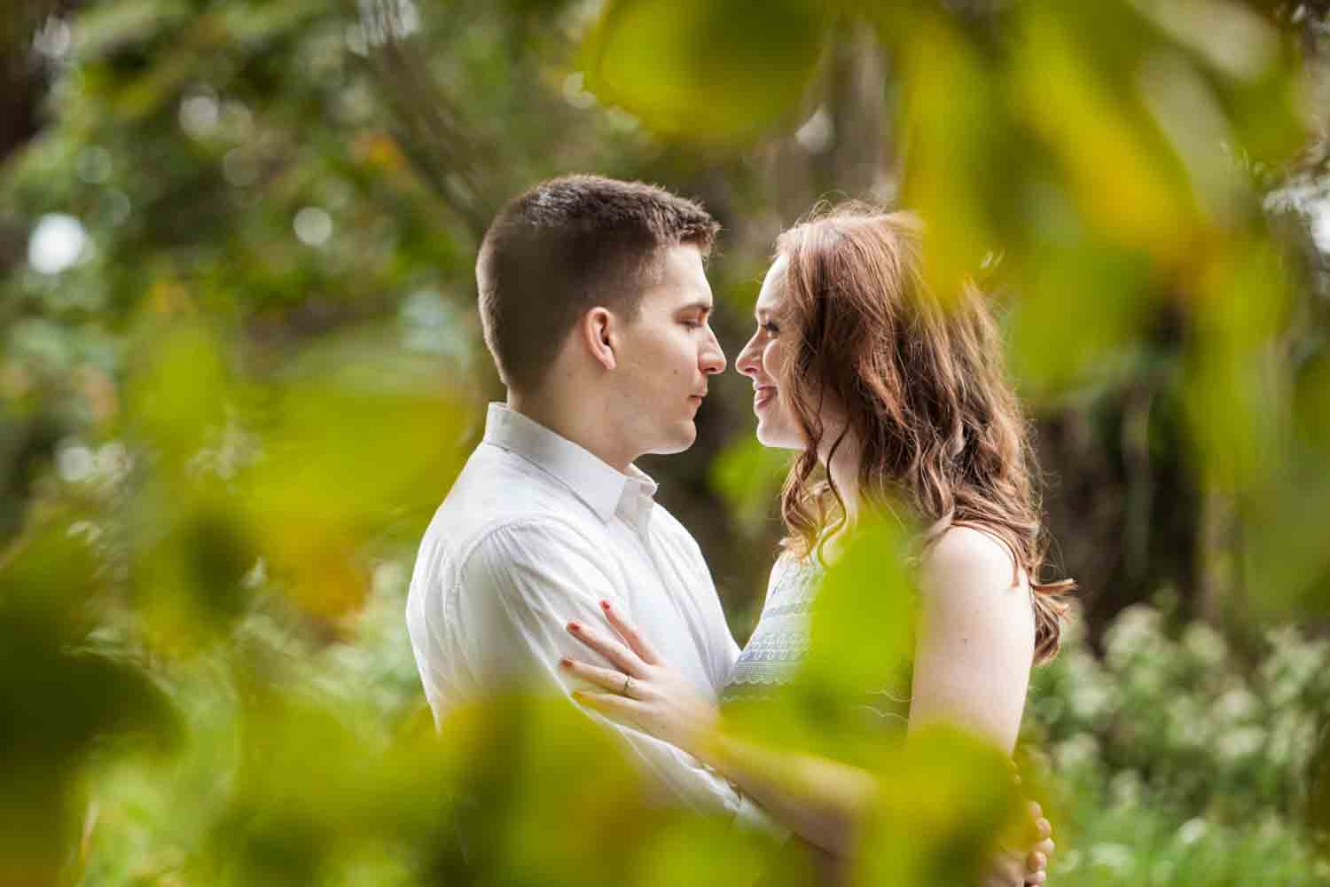 View through branches of couple at a Lyndhurst Mansion engagement photoshoot