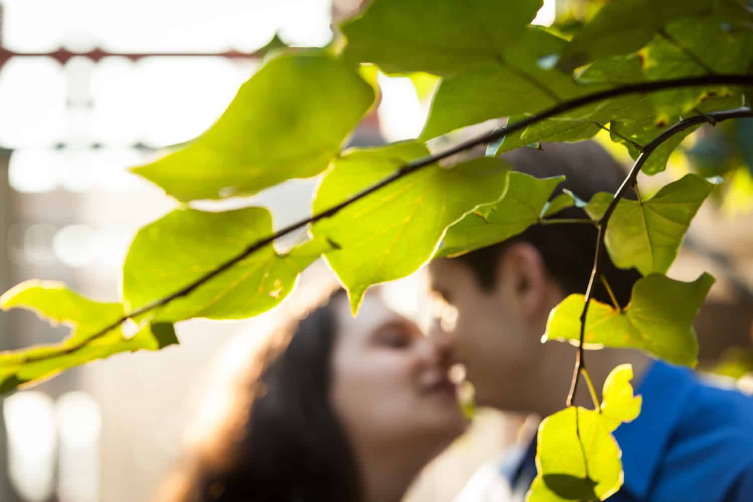 View through leaves of couple kissing during High Line engagement session at sunset