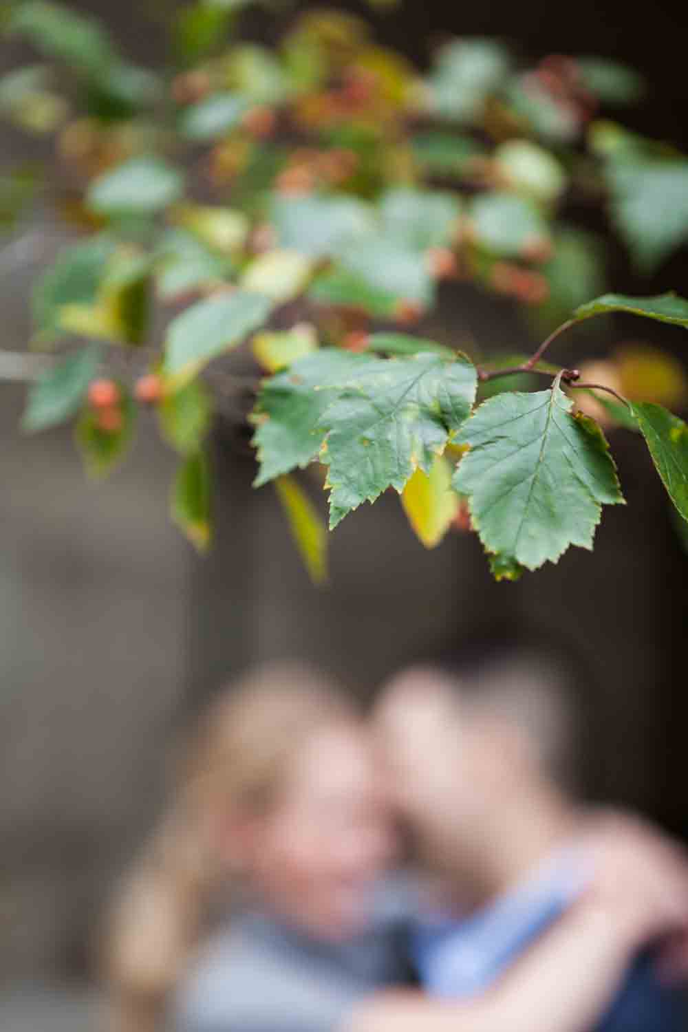 Leaves in focus with couple kissing in background out of focus