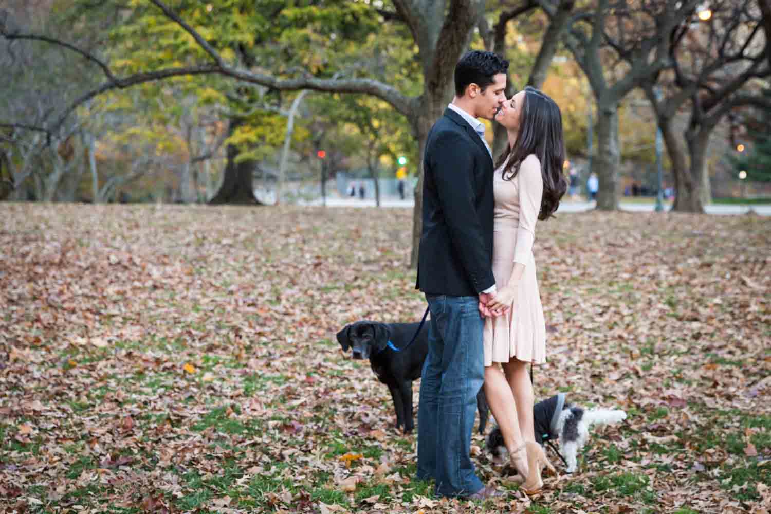 Couple kissing with two dogs at their feet