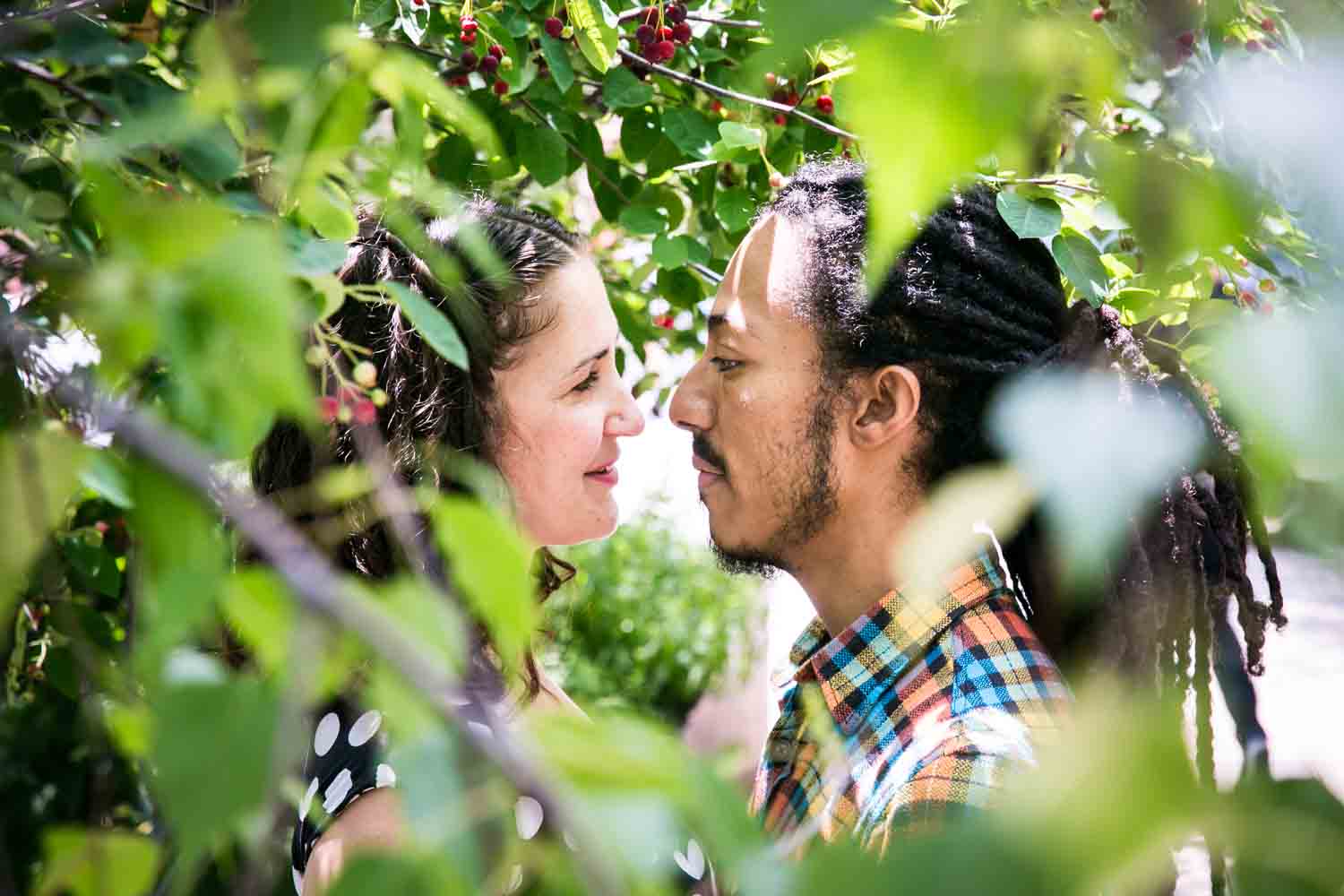 View through leaves of couple looking at each other