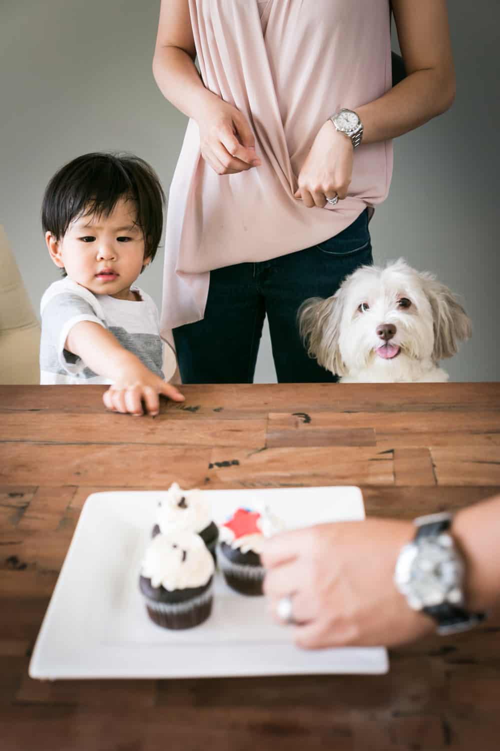 Child pointing to cupcakes with dog watching