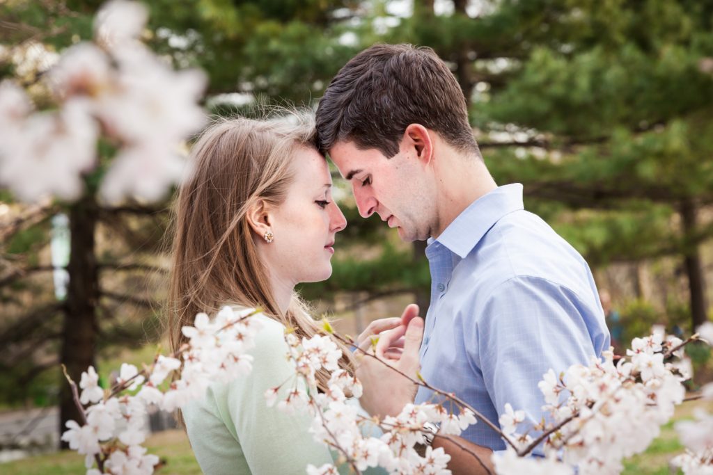 Couple touching foreheads  in front of cherry blossom trees in Central Park