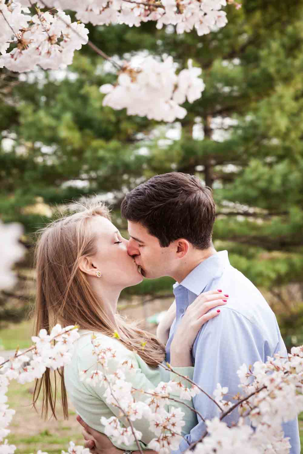 Couple kissing  in front of cherry blossom trees in Central Park