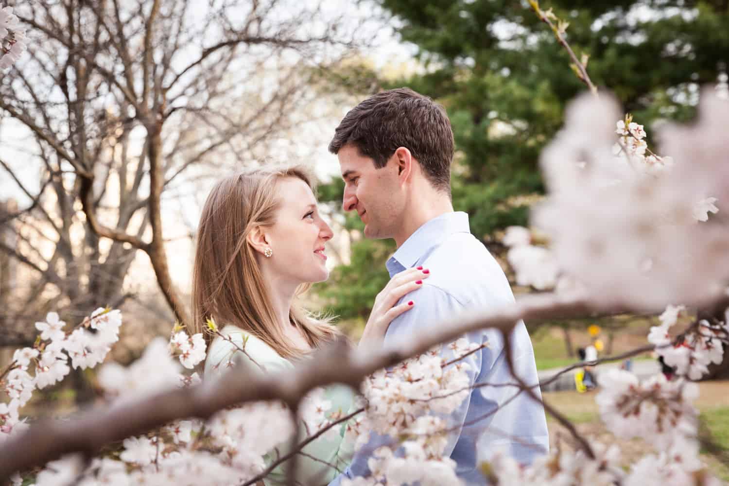View through cherry blossom branches of couple hugging in Central Park