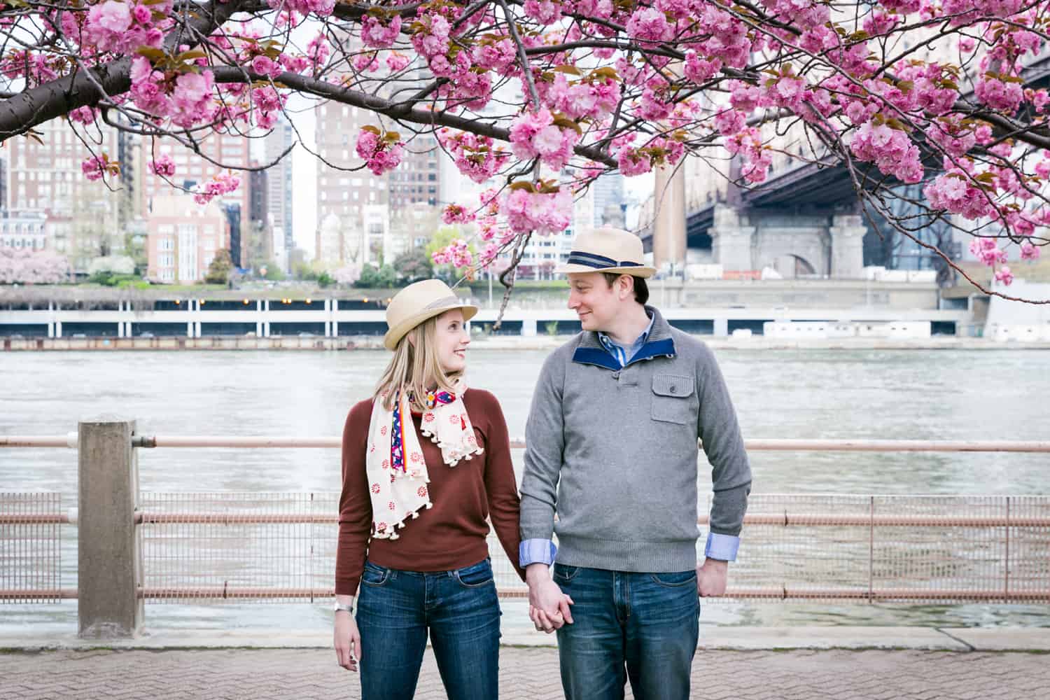 Couple holding hands under cherry blossom trees on Roosevelt Island for an article ranking the best places to see cherry blossoms in NYC