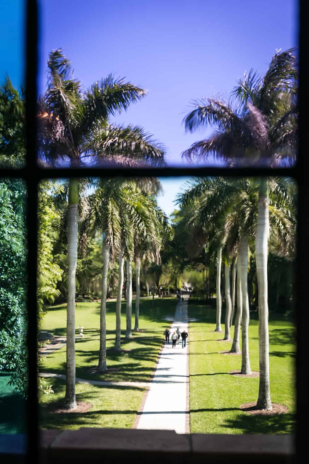 Photos of Sarasota including view of palm-lined pathway in front of Ca d'Zan
