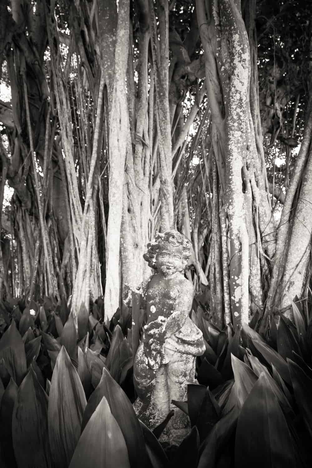 Black and white photo of statue in Ca d'Zan dwarf garden in Sarasota