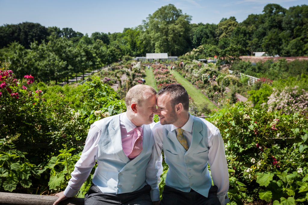 Two grooms touching foreheads in middle of rose garden at an Brooklyn Botanic Garden wedding