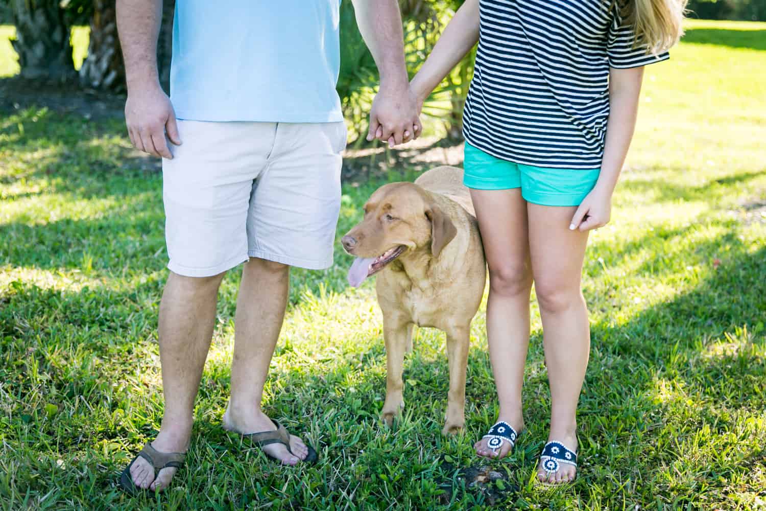 Couple holding hands over dog in backyard