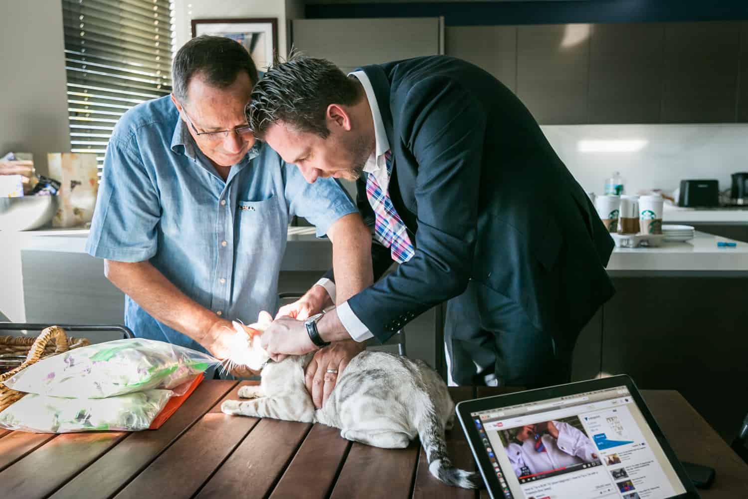 Groom and father putting bowtie on cat for an article on tips for including your pet in your wedding