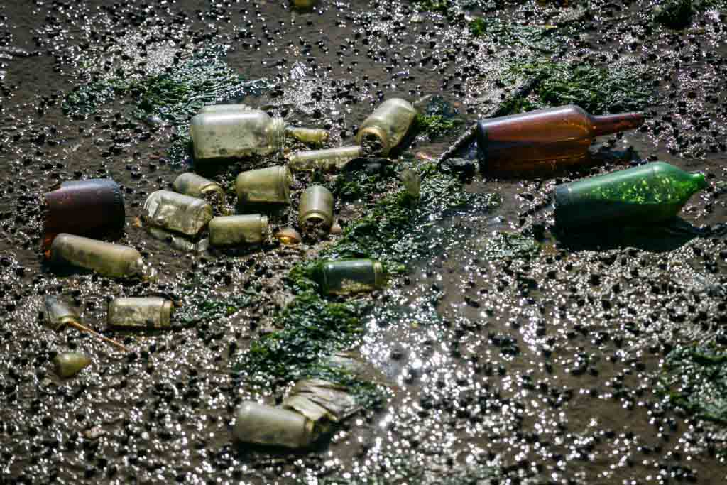 Dead Horse Bay photos of bottles on polluted beach