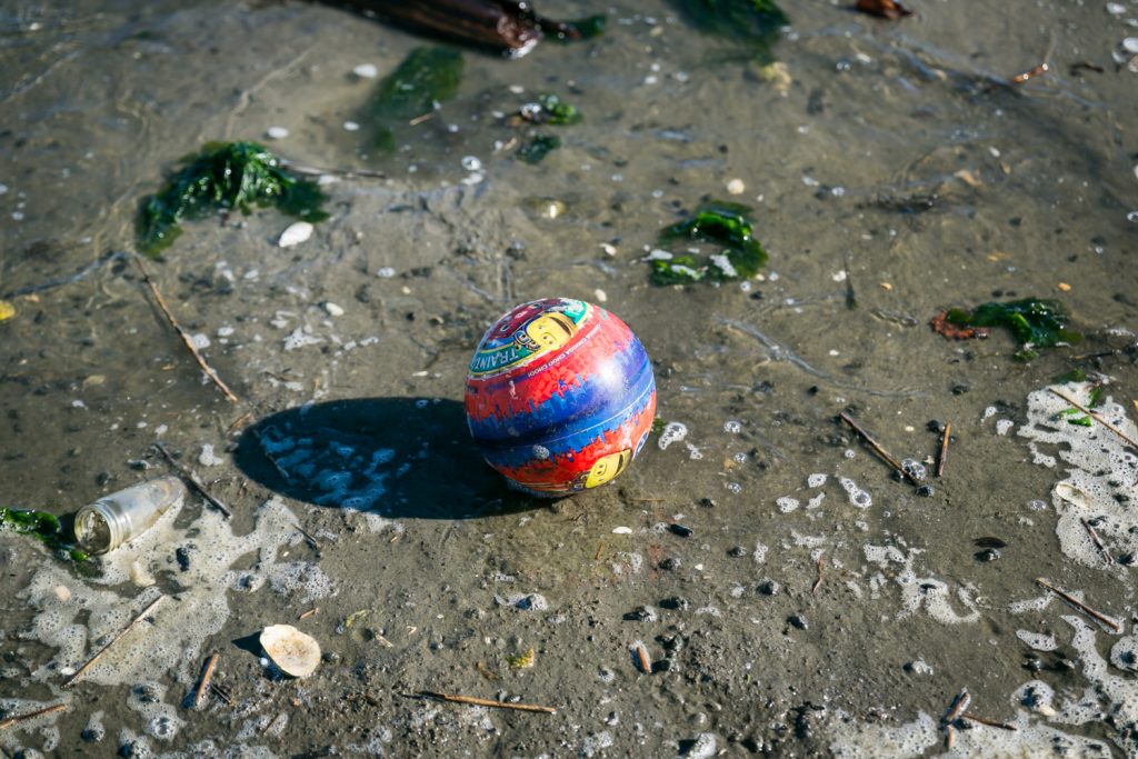 Dead Horse Bay photos of colored ball on beach