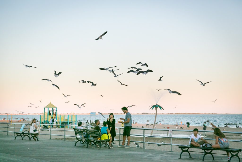 People sitting on bench with seagulls overhead in Coney Island, Brooklyn