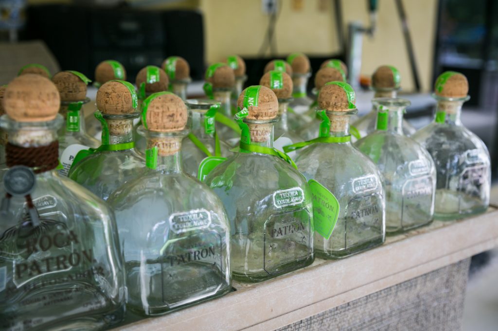 Row of empty tequila bottles