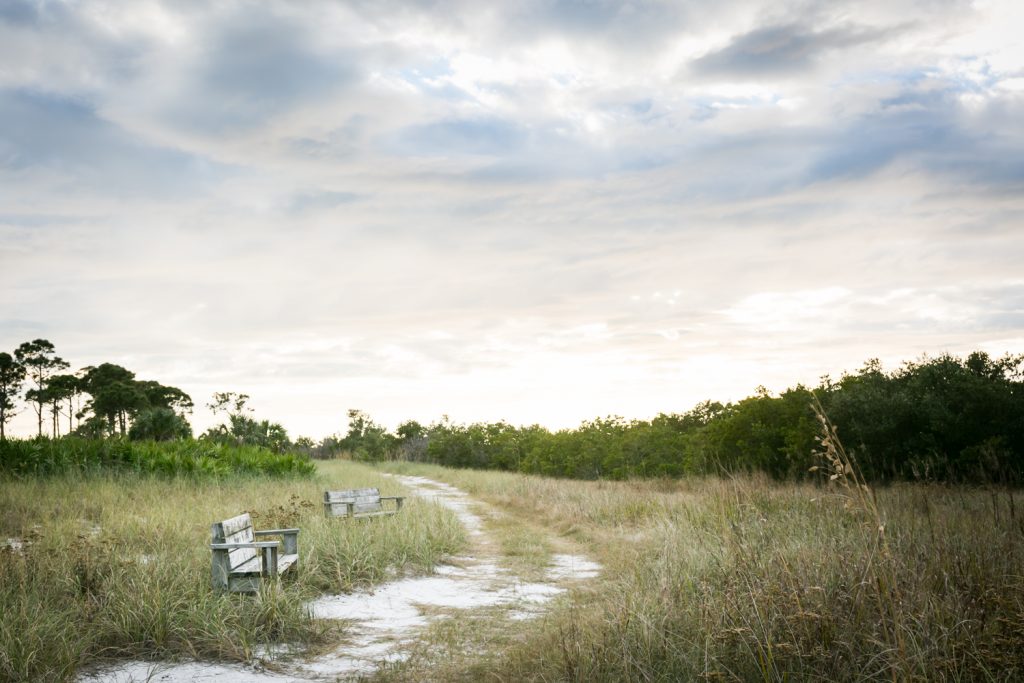Benches beside path through park for article on Honeymoon Island photos