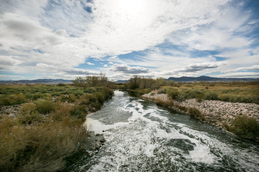 Clark County Wetlands Park