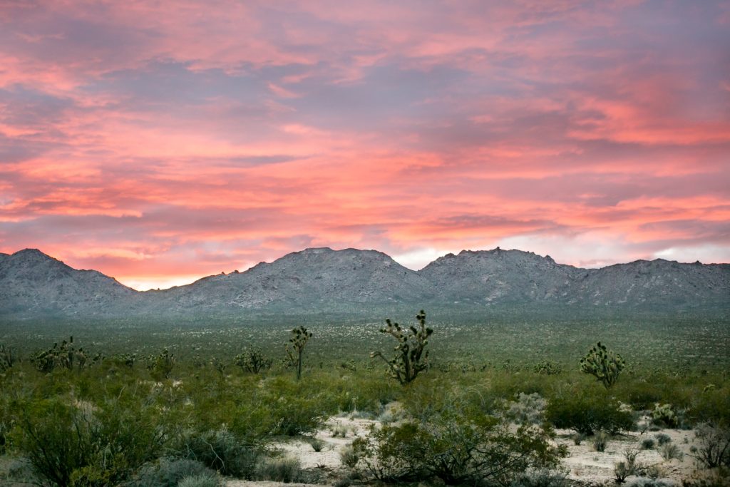 Pink sunset over Mojave National Preserve