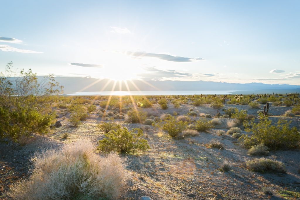 Sun rays across desert landscape in Mojave National Preserve