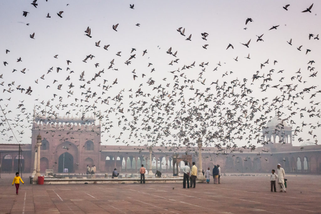 India street photography featuring the Jama Masjid 