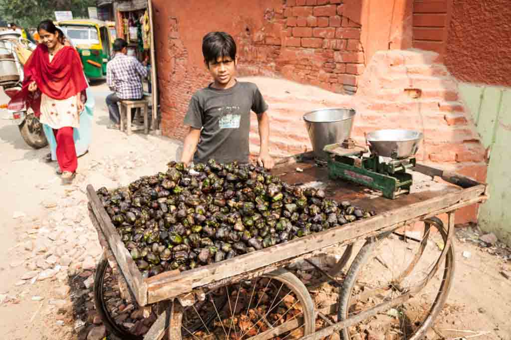 India street photography in Agra