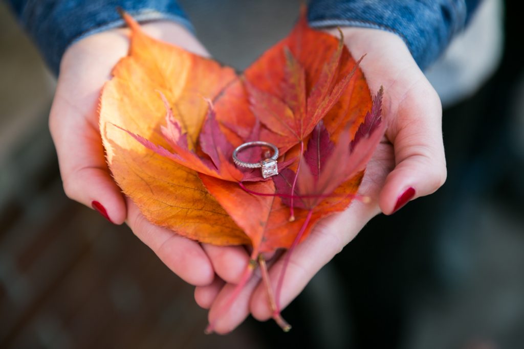 Woman's hands holding engagement ring on orange and red leaves
