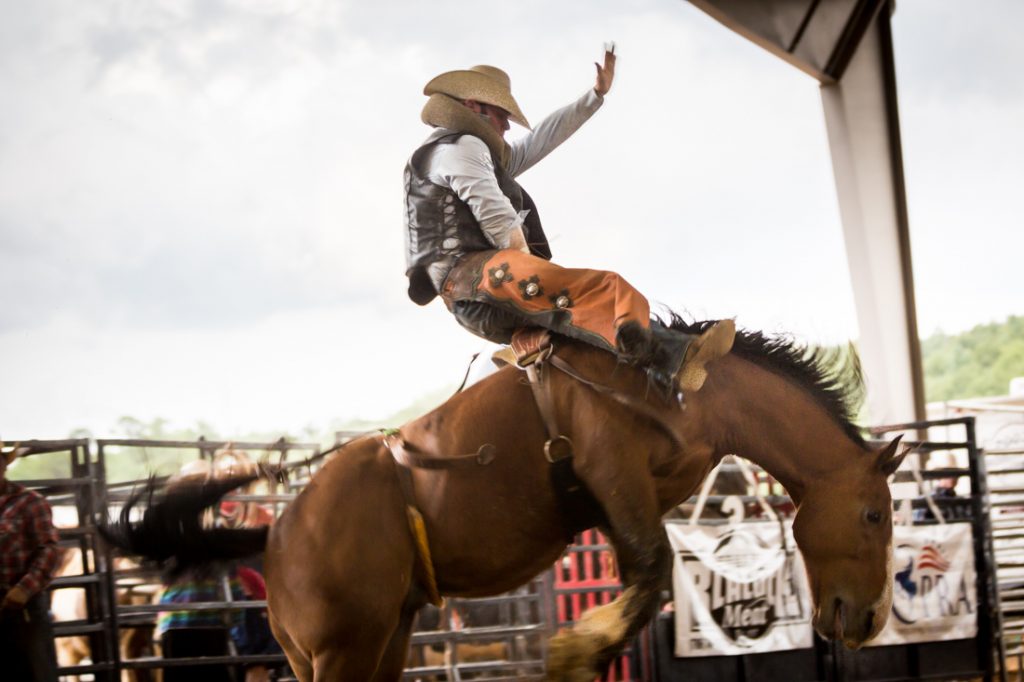 Bucking broncos at the Bar W Rodeo