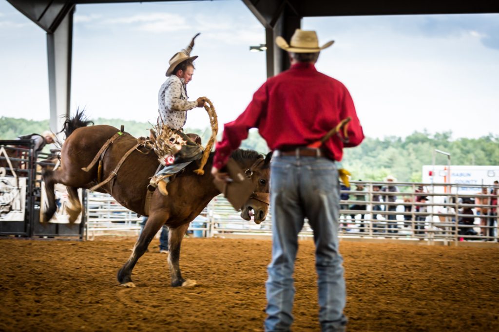 Bucking broncos at the Bar W Rodeo