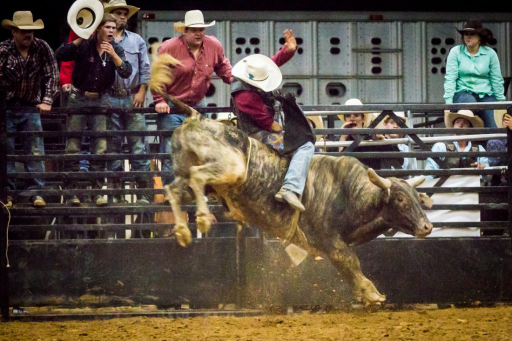 Bull riding at the Bar W Rodeo