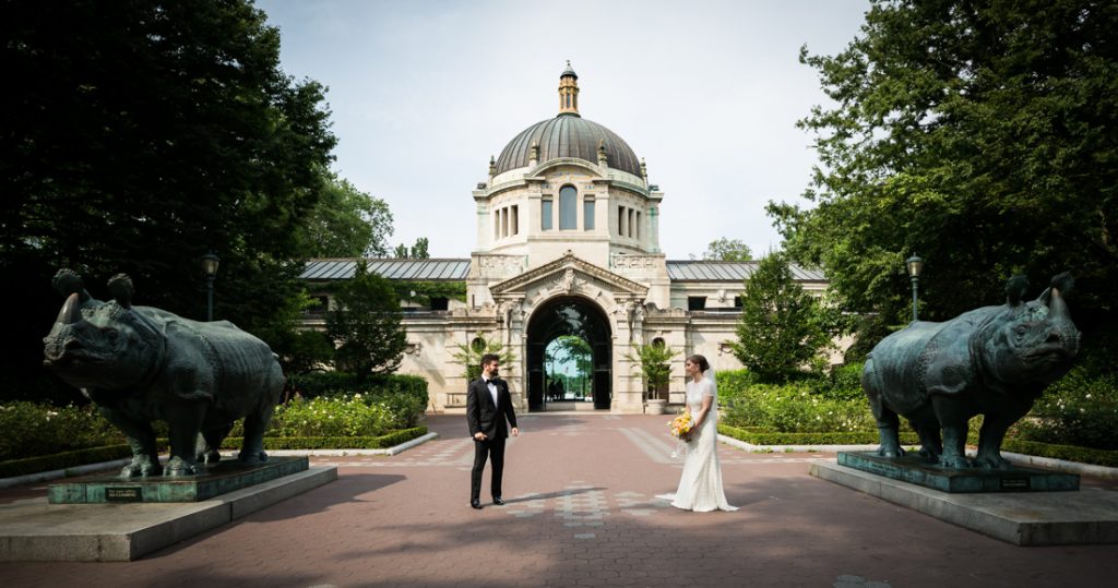 First look at a Bronx Zoo wedding
