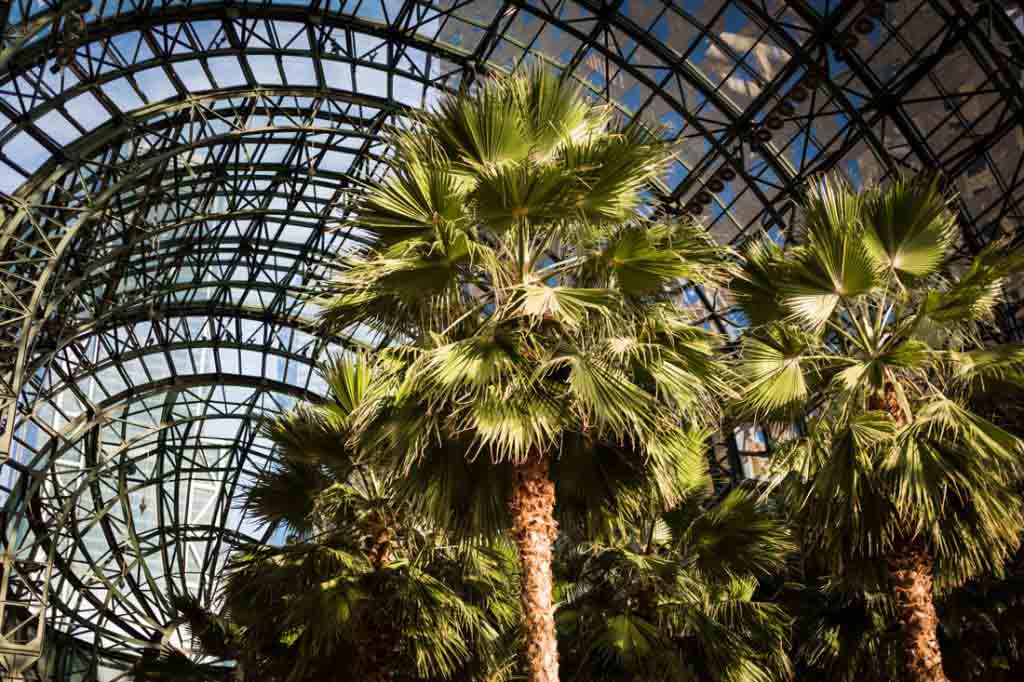 Interior of Brookfield Place for an article on public atriums as an option for NYC rainy day photo shoot locations