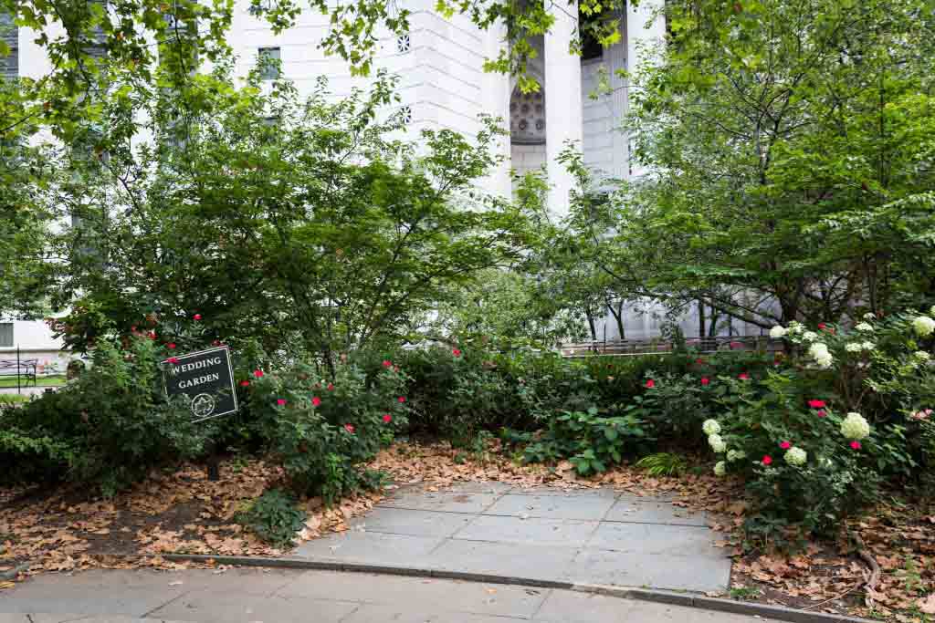 The wedding garden for an article on City Hall wedding portrait locations