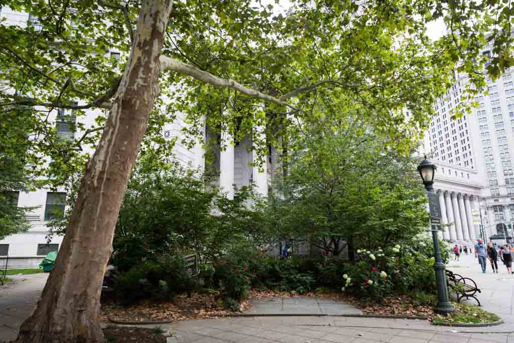 Wedding garden for an article on City Hall wedding portrait locations