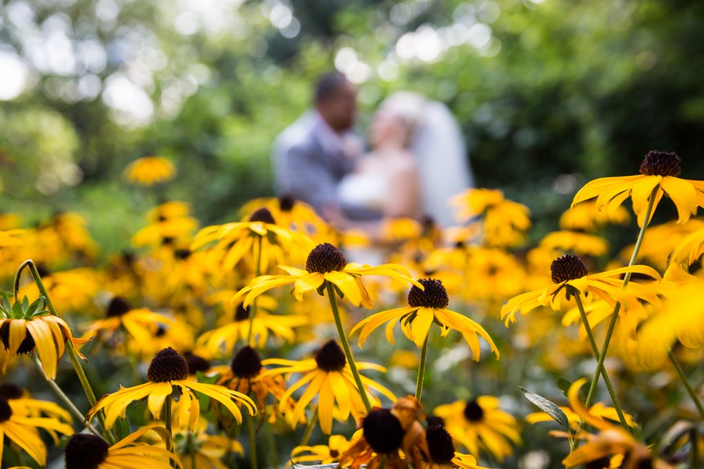 Bride and groom with daisies at a Bronx Zoo wedding