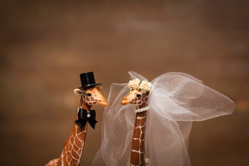 Giraffe bride and groom cake toppers at a Bronx Zoo wedding