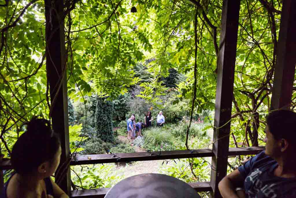 Looking through the window of garden 6BC's tree house