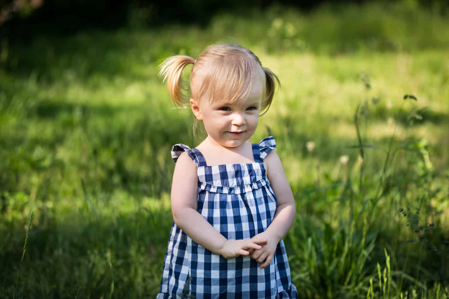 Little girl wearing blue and white gingham dress in Forest Park for an article on toddler portrait tips