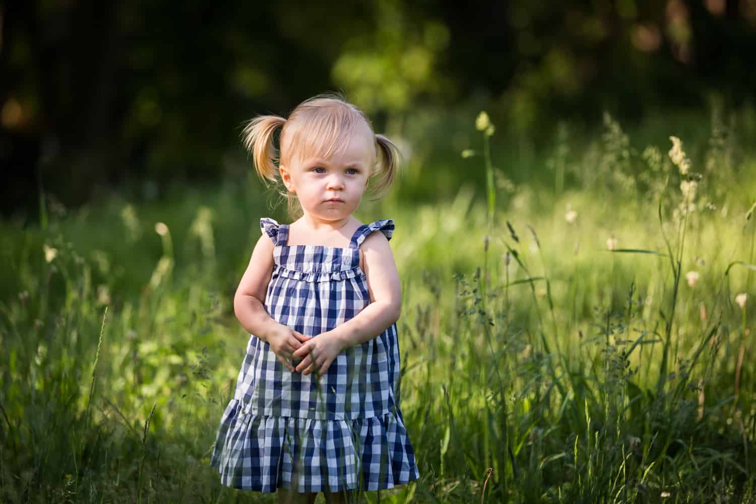 Little girl wearing blue checked dress in park for an article on toddler portrait tips