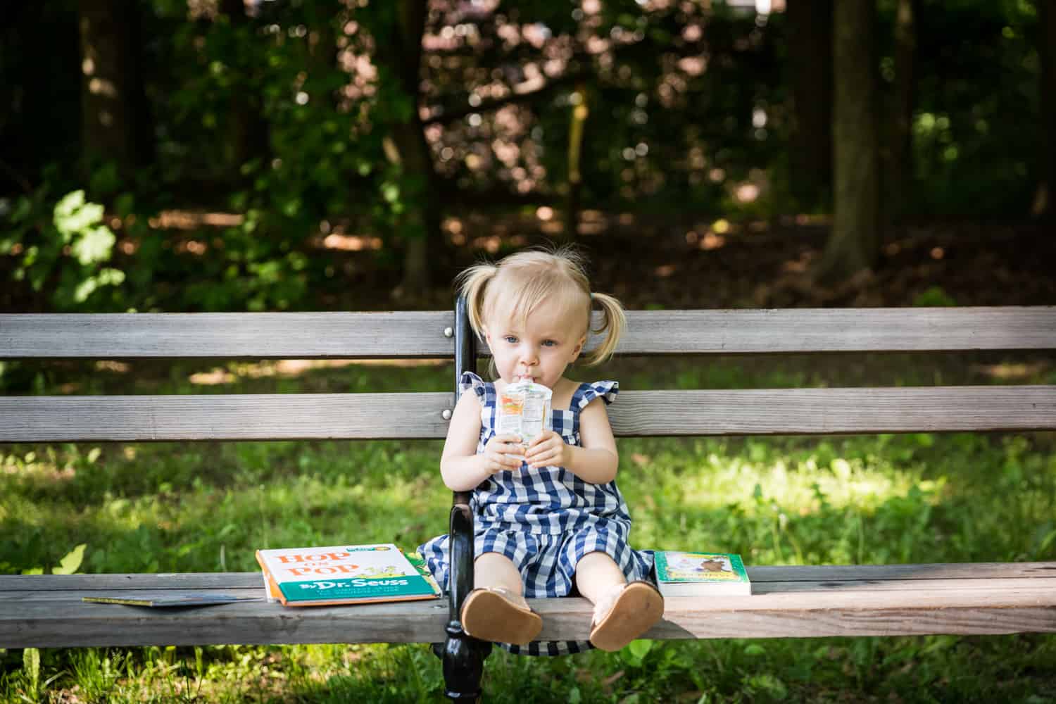 Little girl with pigtails drinking from juice box on bench during a Forest Park family photo shoot