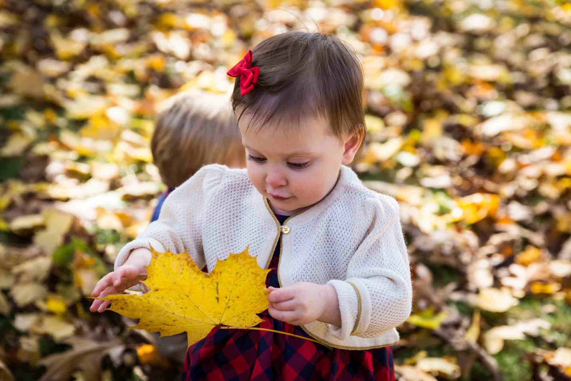 Child with leaf for article on how to get your kids to look into the camera