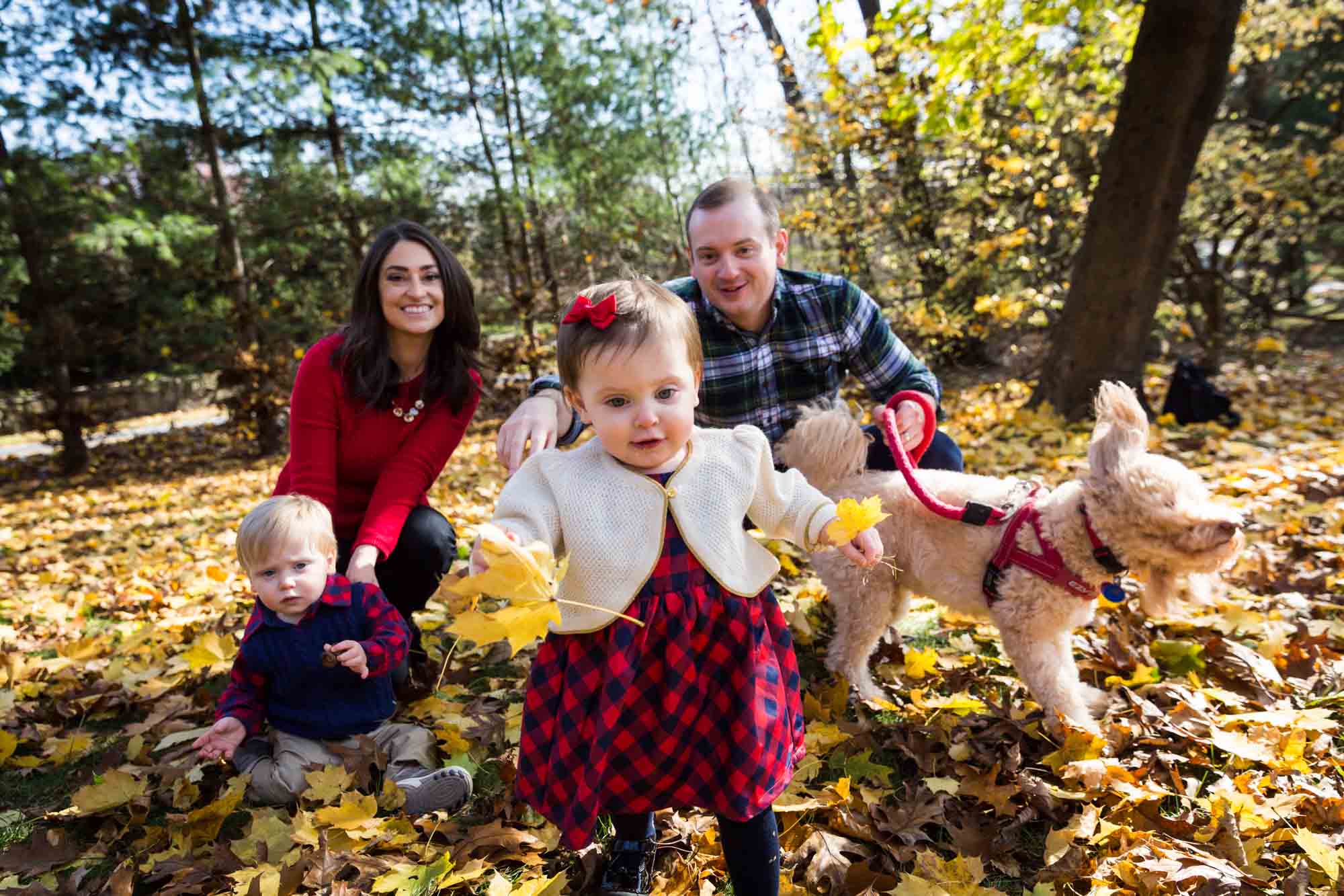 Family in leaves for article on how to get your kids to look into the camera