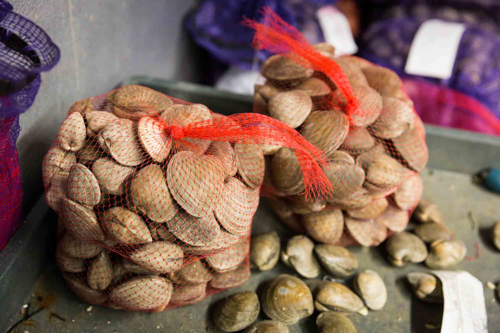 Bags of clams for an article on website photography tips