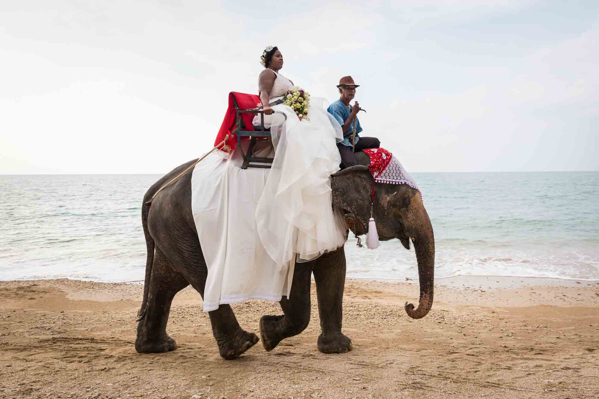 Bride on elephant for an article on destination wedding photography tips
