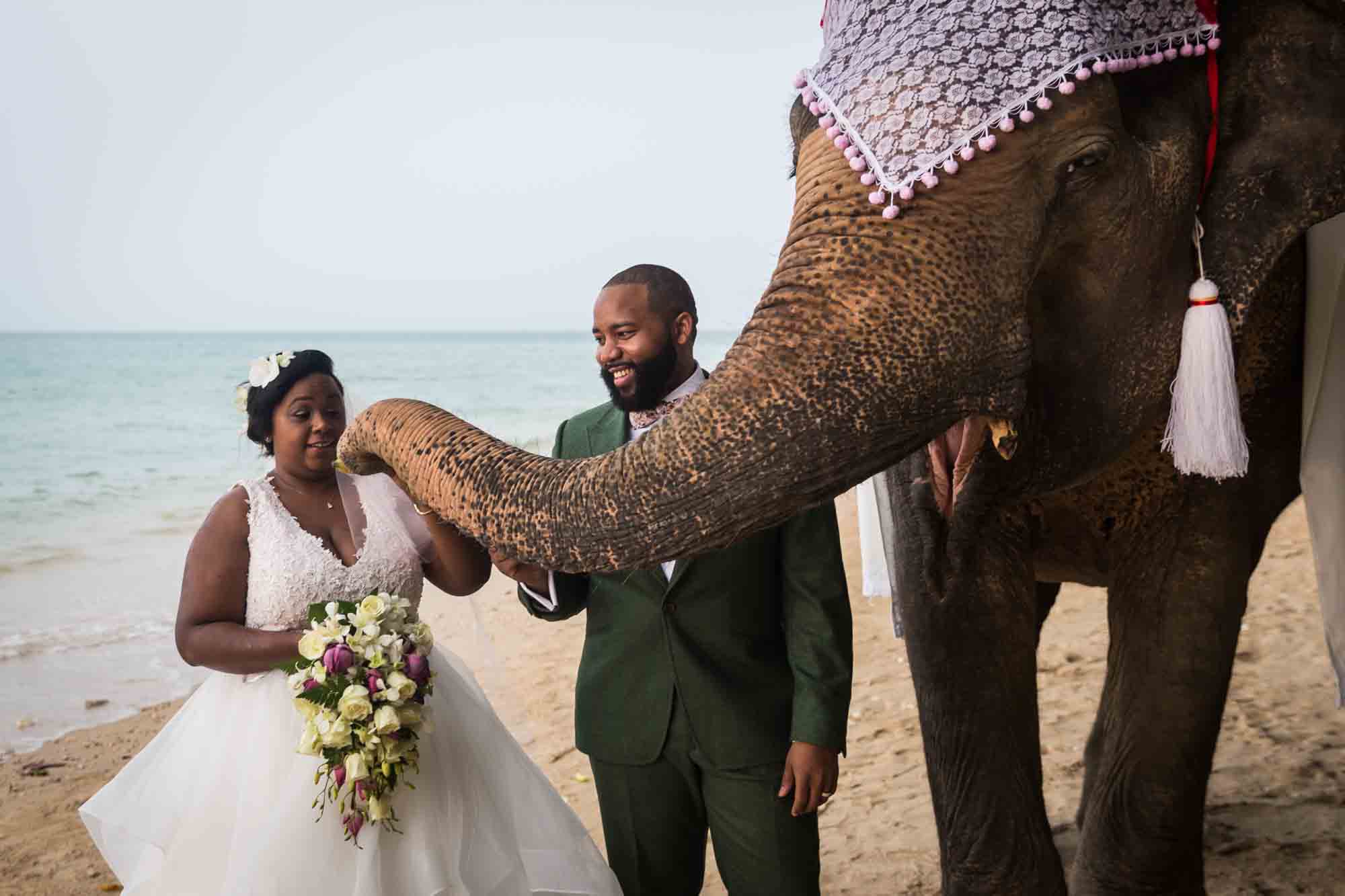 Bride and groom and elephant for an article on destination wedding photography tips