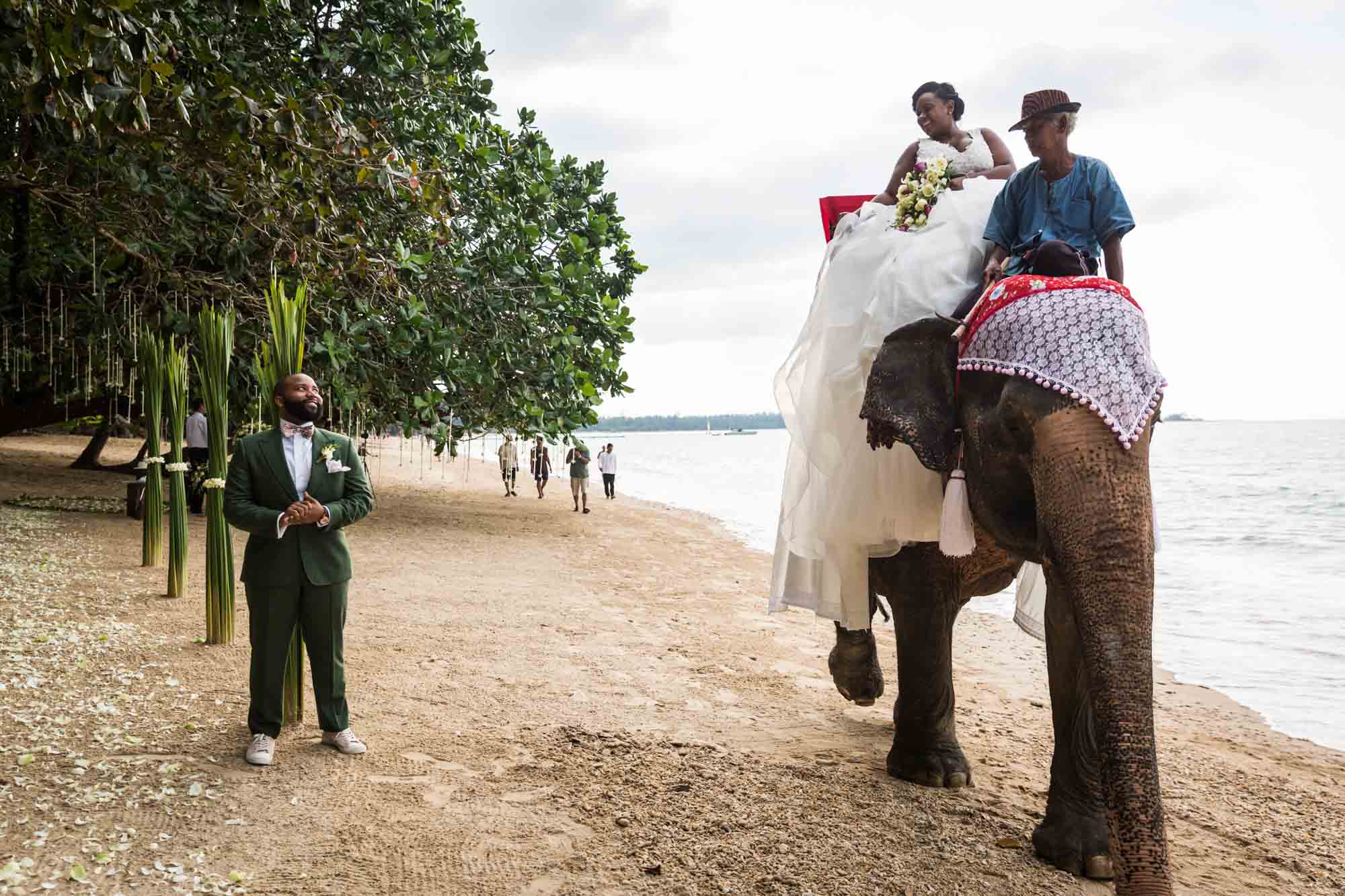 Bride and groom on the beach with elephant for an article on destination wedding planning tips