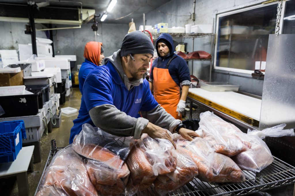 Worker checking bags of cut fish for an article on website photography tips