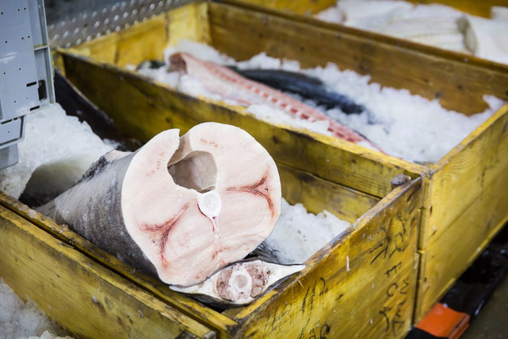 Cut fish on ice in boxes
