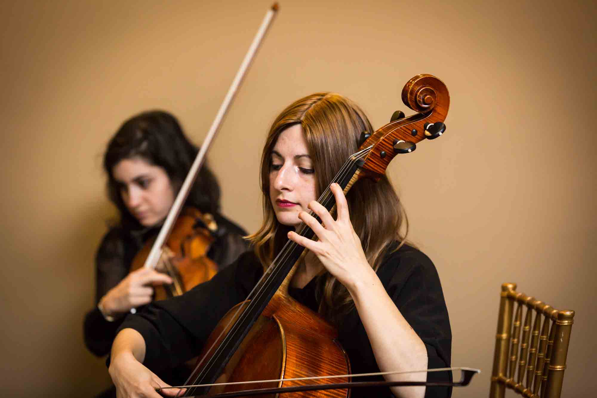 Violin player for an article on band vs DJ